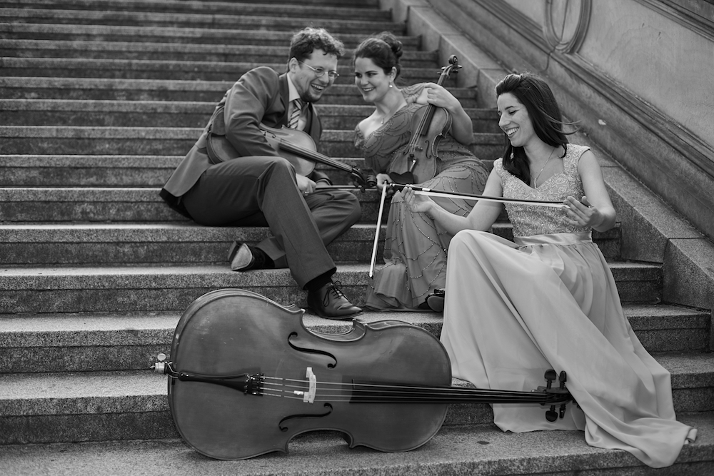 Brandenburg String Trio